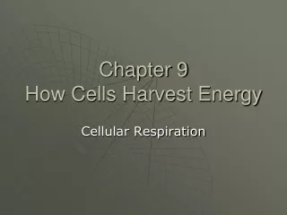 Chapter 9 How Cells Harvest Energy