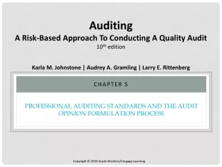 Professional Auditing Standards and the Audit Opinion Formulation Process