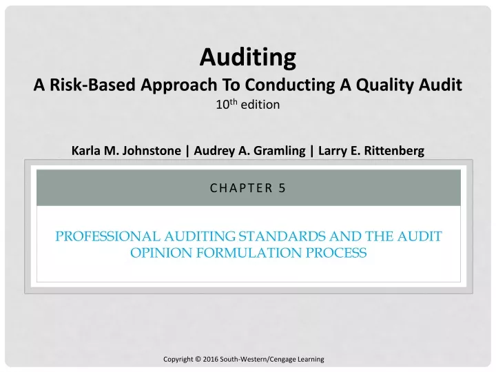 professional auditing standards and the audit opinion formulation process