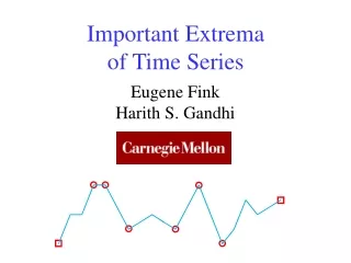 Important Extrema of Time Series