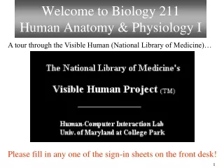 Welcome to Biology 211 Human Anatomy &amp; Physiology I