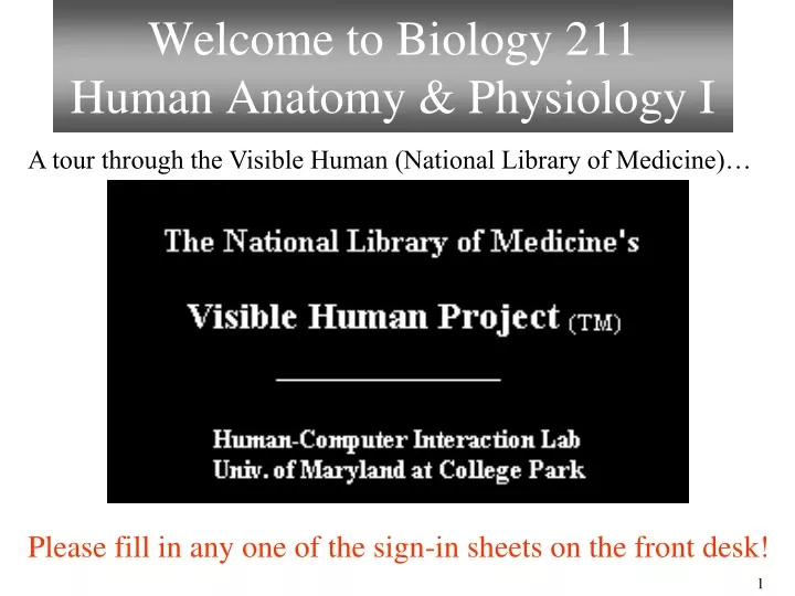 welcome to biology 211 human anatomy physiology i