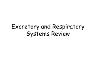 Excretory and Respiratory Systems Review