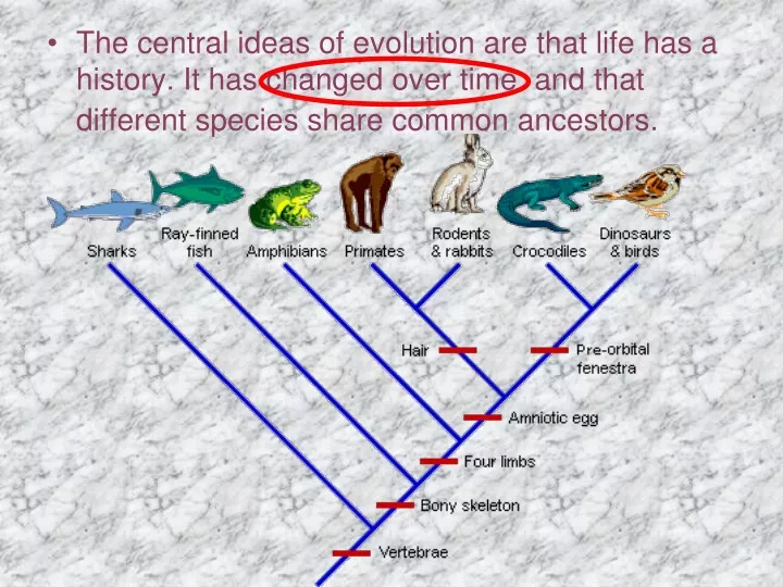 the central ideas of evolution are that life