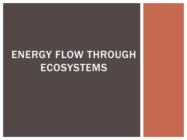 energy flow through ecosystems