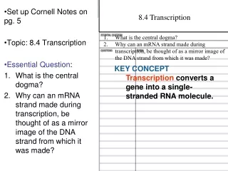 Set up Cornell Notes on pg. 5 Topic: 8.4 Transcription Essential Question :
