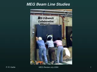 MEG Beam Line Studies