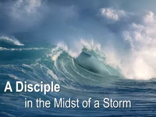 A Disciple  in the Midst of a Storm