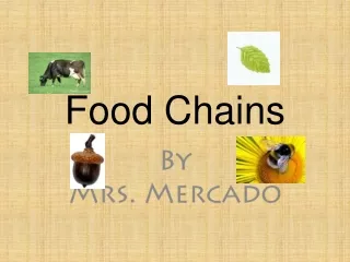 food chains