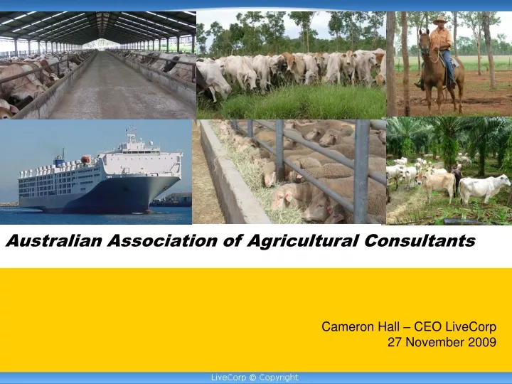 australian association of agricultural consultants