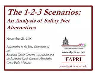The 1-2-3 Scenarios: An Analysis of Safety Net Alternatives