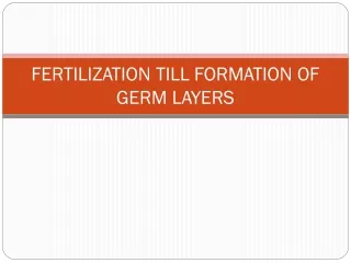 FERTILIZATION TILL FORMATION OF GERM LAYERS