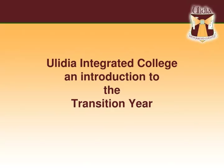 ulidia integrated college an introduction to the transition year