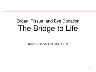 Organ, Tissue, and Eye Donation The Bridge to Life