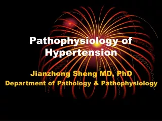 Pathophysiology of Hypertension