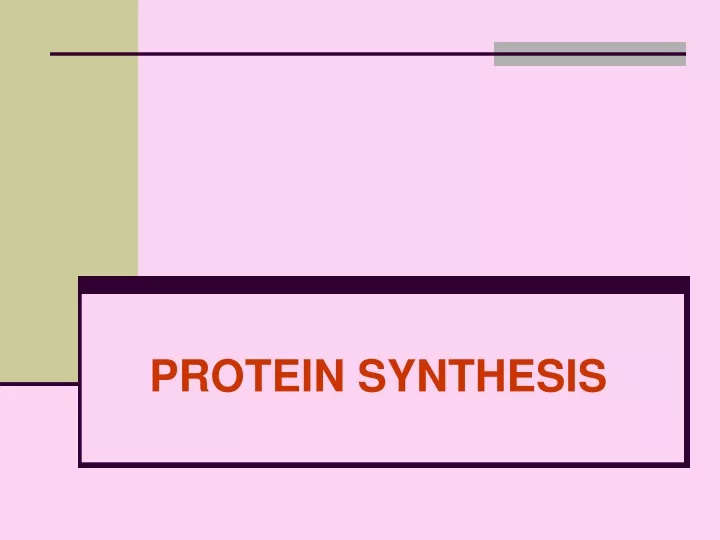 protein synthesis