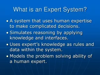 What is an Expert System?