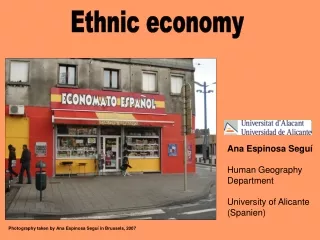 Ethnic economy