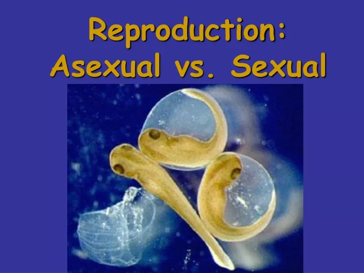 reproduction asexual vs sexual