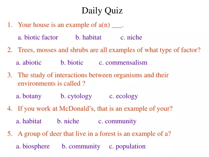 daily quiz