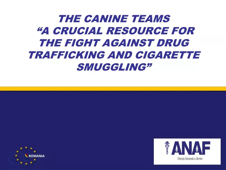 the canine teams a crucial resource for the fight against drug trafficking and cigarette smuggling