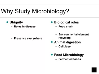 Why Study Microbiology?