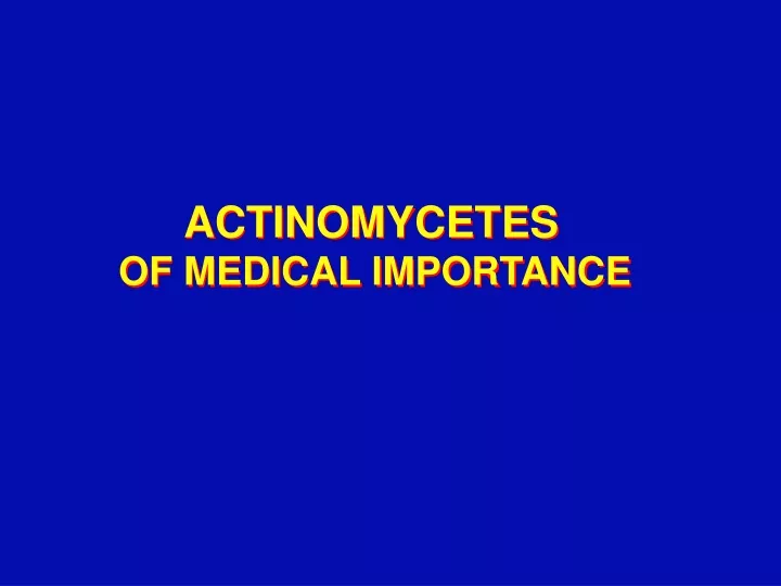actinomycetes of medical importance
