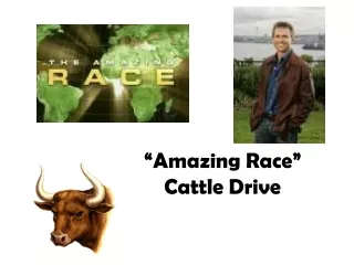 “Amazing Race”  Cattle Drive