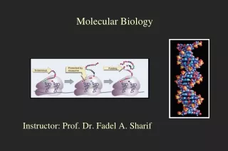 Molecular Biology