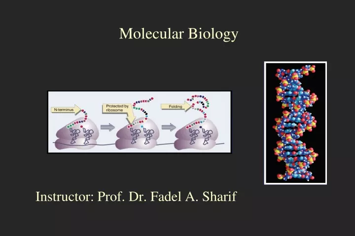 molecular biology