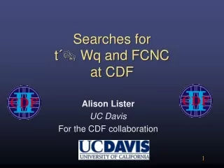 Searches for  t´  Wq and FCNC at CDF