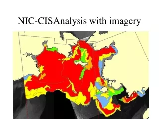 NIC-CISAnalysis with imagery