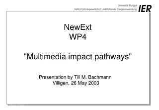 NewExt WP4 &quot;Multimedia impact pathways&quot;