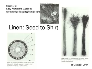 Linen: Seed to Shirt