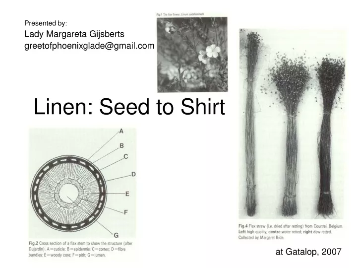linen seed to shirt