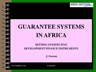 GUARANTEE SYSTEMS IN AFRICA  SETTING UP EFFECTIVE  DEVELOPMENT FINANCE INSTRUMENTS J. Garson