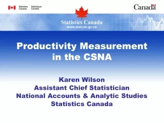 Productivity Measurement in the CSNA