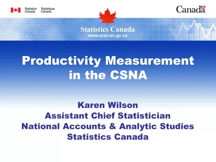 productivity measurement in the csna