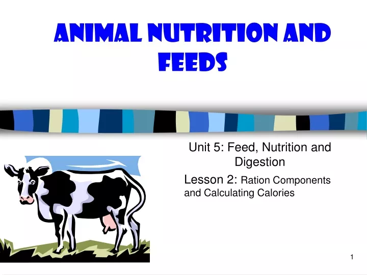 animal nutrition and feeds