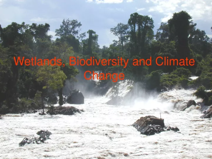 wetlands biodiversity and climate change