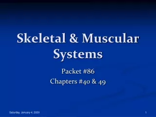 Skeletal &amp; Muscular Systems