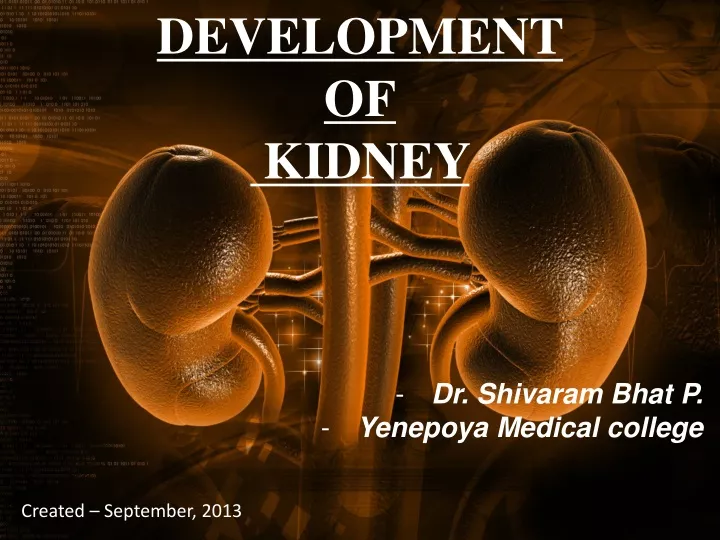development of kidney