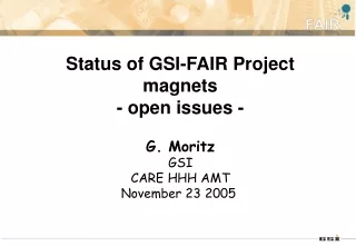 Status of GSI-FAIR Project magnets - open issues -