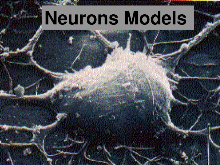 neurons models