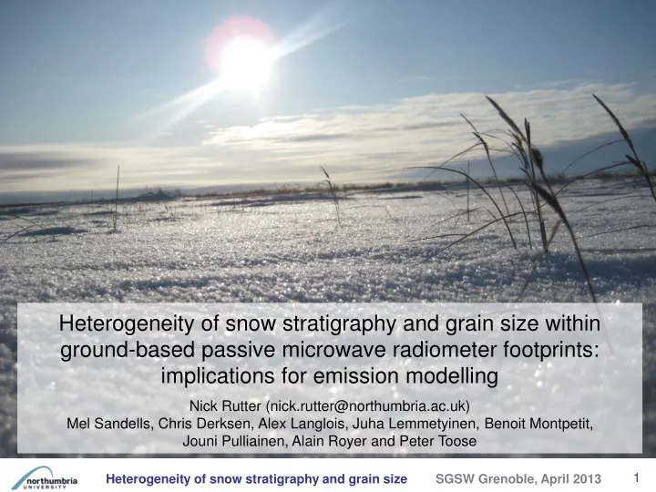 heterogeneity of snow stratigraphy and grain size