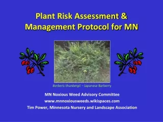 Plant Risk Assessment &amp; Management Protocol for MN