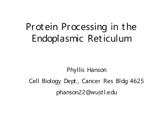 Protein Processing in the Endoplasmic Reticulum
