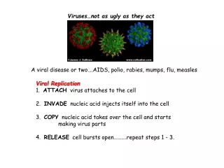 Viruses…not as ugly as they act