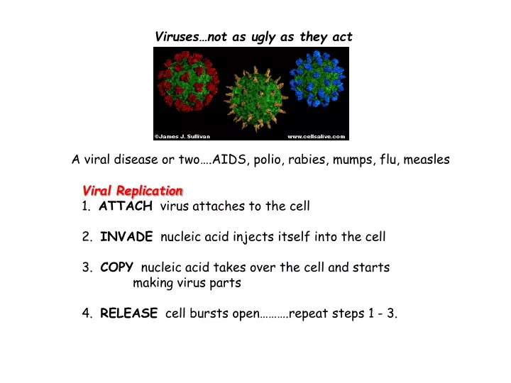 viruses not as ugly as they act
