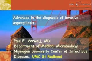 Paul E. Verweij, MD Department of Medical Microbiology